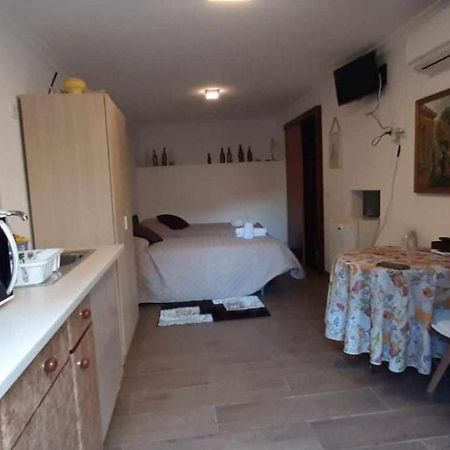 Casa Das Matriarcas - Casa Da Avo Benvinda Belmonte  Dış mekan fotoğraf